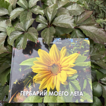 Новая книга! Алексей Шабунов «Гербарий моего лета»